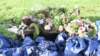 dsc_0013_small.jpg