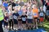 dsc_0104_small.jpg