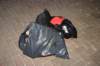 dsc_0087_small.jpg