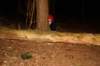 dsc_0169_small.jpg