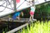 dsc_0029_small.jpg