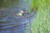 dsc_0900_small.jpg