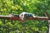 dsc_0920_small.jpg
