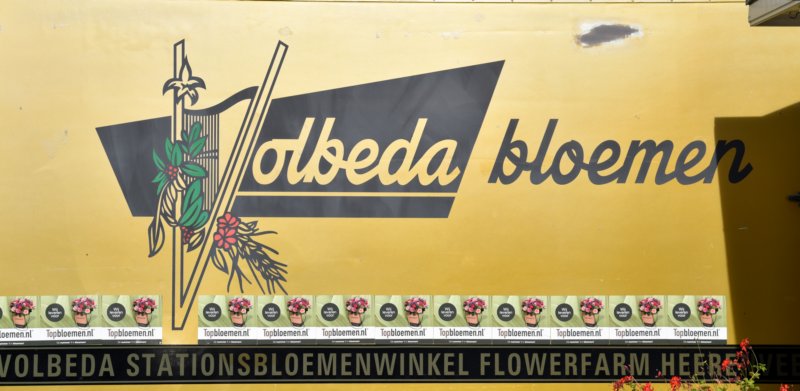 remco_volbeda_bloemen.jpg