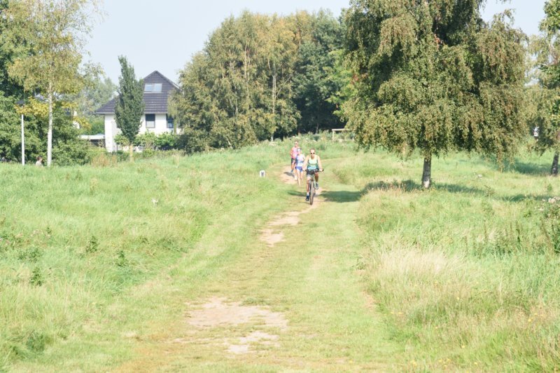 dsc_0136.jpg
