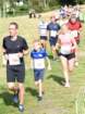 dsc_0247_small.jpg