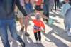 dsc_0108_small.jpg