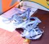 dsc_0112_small.jpg