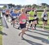 dsc_0151_small.jpg