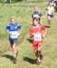 dsc_0201_small.jpg