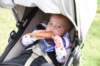 dsc_0337_small.jpg