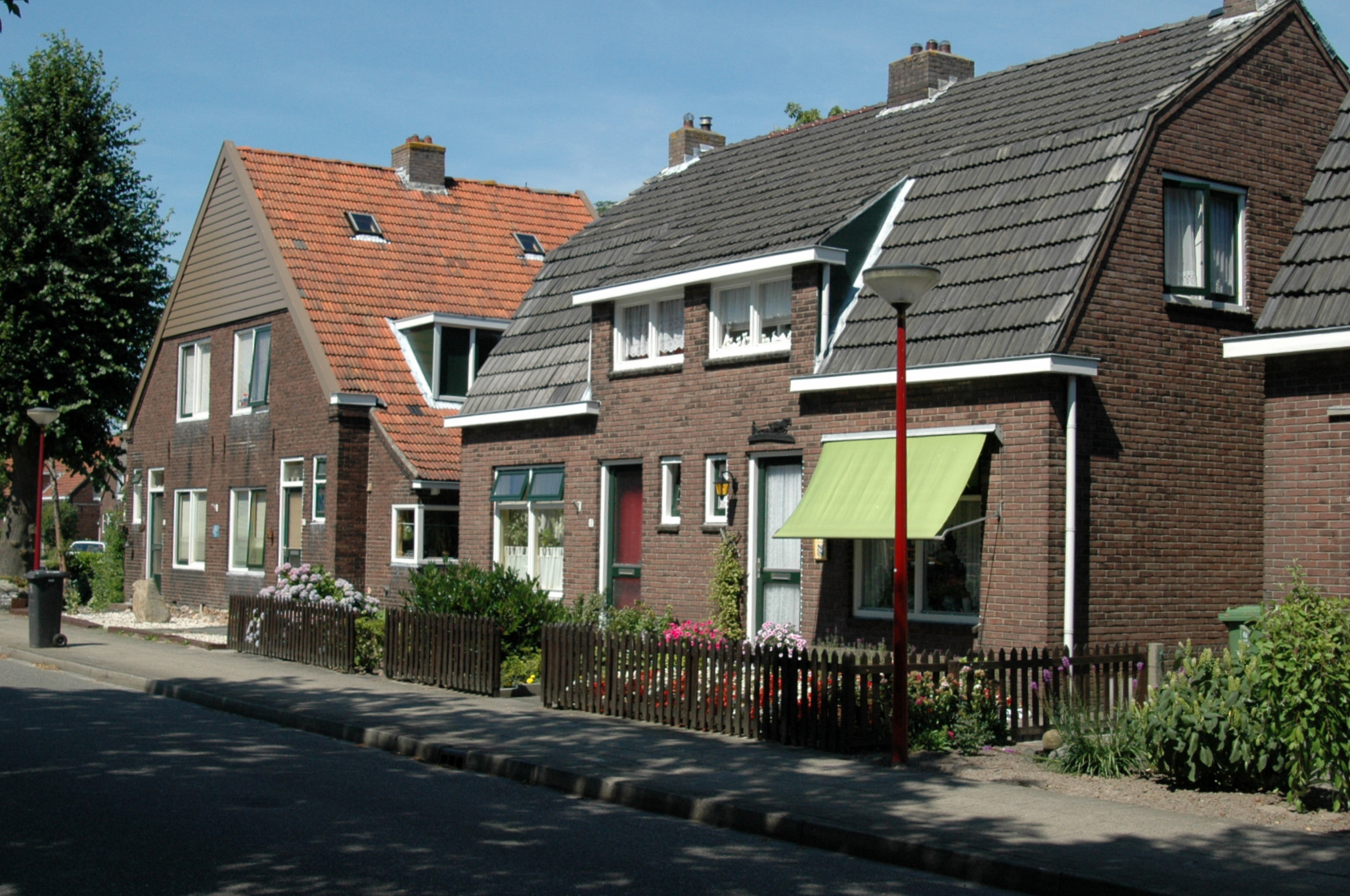dsc_0131.jpg