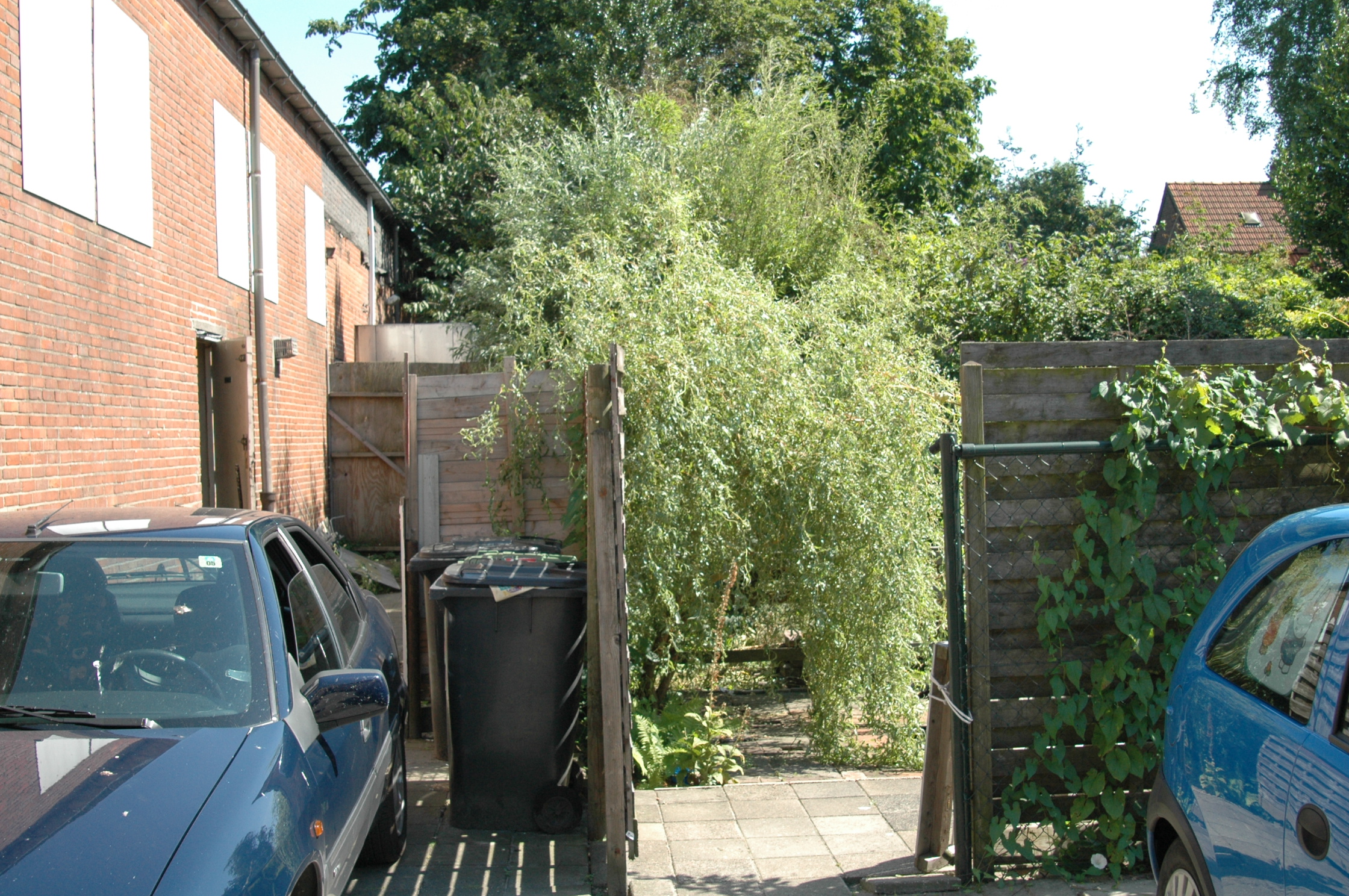 dsc_0207.jpg