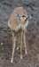 dsc_0287_small.jpg