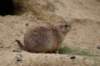 dsc_0355_small.jpg