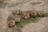 dsc_0358_small.jpg