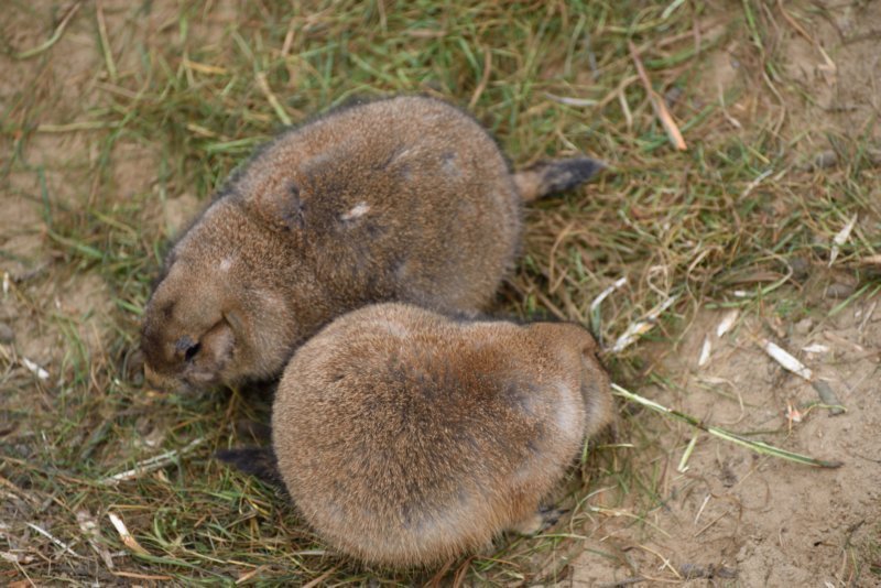 dsc_0361.jpg