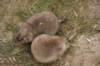 dsc_0361_small.jpg