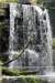 dsc_0367_small.jpg