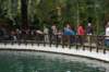 dsc_0368_small.jpg