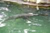 dsc_0369_small.jpg