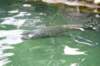 dsc_0370_small.jpg