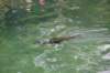 dsc_0371_small.jpg