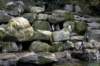 dsc_0388_small.jpg