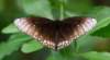 dsc_0459_small.jpg