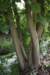 dsc_0809_small.jpg